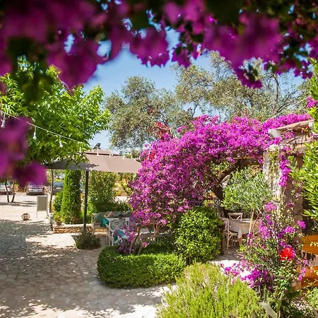 Soleil Village & Jal