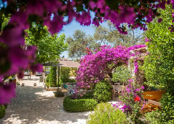 Soleil Village & Jal